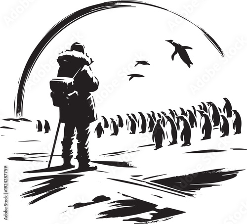 Monochrome tundra encounter: A lone traveler observes a penguin