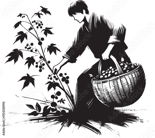 Monochromatic sumi-e illustration of a man collecting harvest in