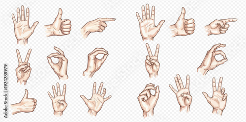 A collection of various human hand gestures drawn in a vintage, engraved style on a transparent background.