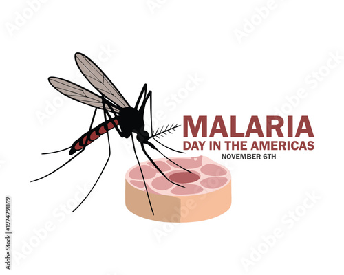 Malaria Day in the Americas. Illustration of the mosquito biting on the skin, on white background.