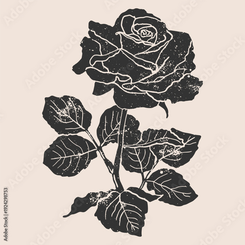 Flowers linocut vector illustration with grunge texture. Monochrome linear woodcut illustration	of rose.
