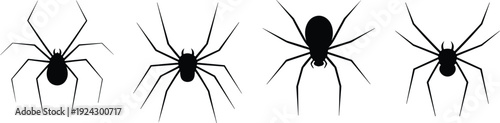 Spider silhouettes illustration with four species, arachnid posture concept, insect design, entomology artwork, black and white composition
