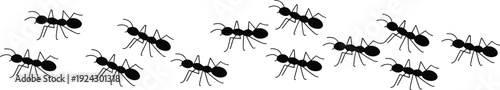 Ant silhouettes illustration with group formation, insect anatomy concept, entomology design, black and white artwork composition