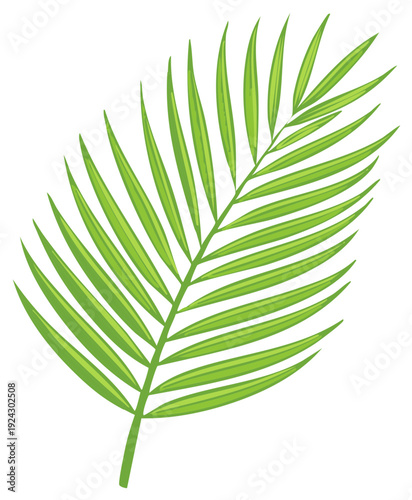 Vivid Green Palm Frond: Tropical Foliage Illustration for Summer Design