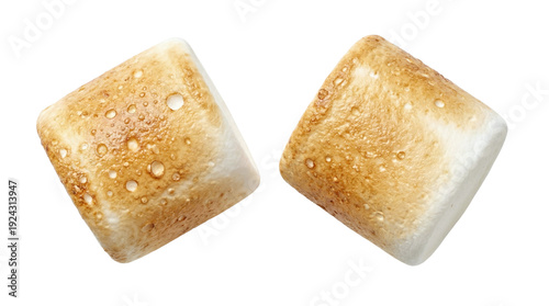 Two lightly toasted golden brown roasted marshmallows, summer campfire sweet treat on a transparent background.