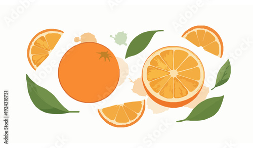 Watercolor Style Orange Fruit Vector with Whole Half and Slices Isolated on White Background