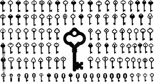 Extensive Collection of Vintage and Antique Key Silhouettes on a Clean White Background