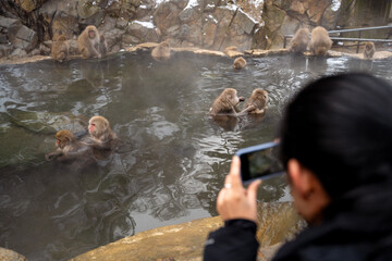 Woman takes photos to snow monkeys in Japan
