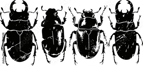 silhouettes of various beetle species side view with detailed legs and antennae