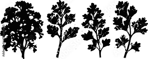 silhouettes of various parsley leaves and sprigs in black on white background