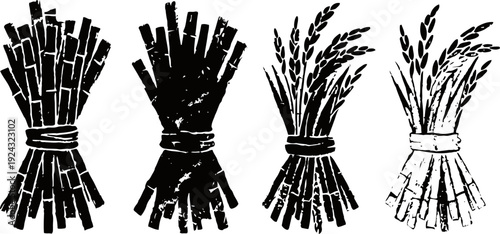 bundles of harvested wheat and sugarcane tied with ropes in rustic vintage