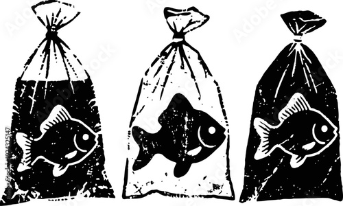 Three fish in plastic bags filled with water, arranged in a row with different opacity