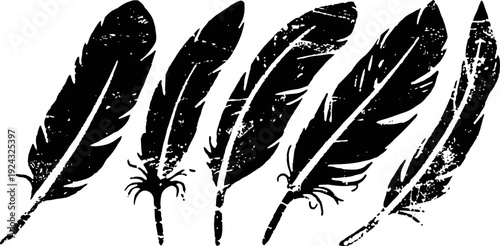 Set of black grunge feathers silhouettes vintage worn rustic plumage design elements in different shapes and sizes