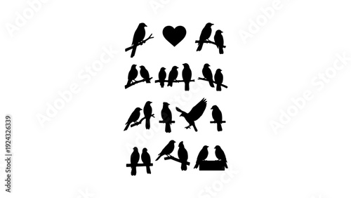 Birds gather in loving formation with heart symbol