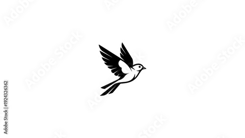 Bird in flight soaring through the air with wings spread