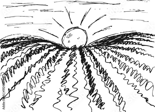 Sunrise over wavy farmland fields hand drawn sketch of agricultural landscape with sun and rows