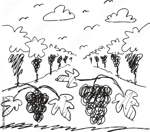 Hand drawn grapevine vineyard landscape with bunches of grapes, leaves, clouds, and birds in sketch