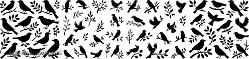 Collection of black bird silhouettes with branches and leaves in various poses. Decorative nature vector set isolated on light background.
