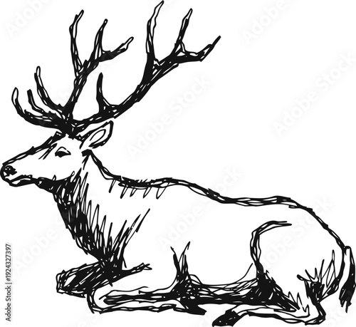 Sketch of a resting stag with large antlers hand drawn wildlife ink illustration of a seated deer animal outdoors