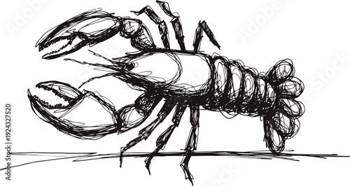 Hand drawn lobster illustration in black ink sketch with detailed claws and segmented body
