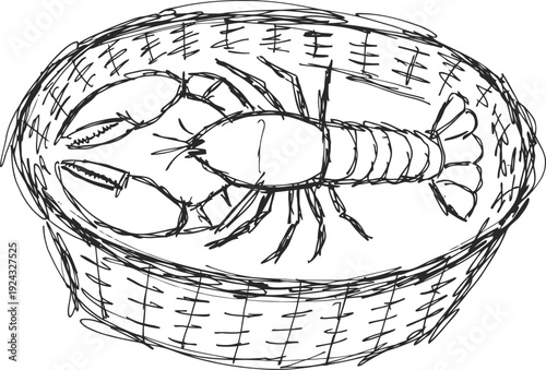 Lobster in a wicker basket seafood crustacean shellfish illustration marine animal sketch drawing