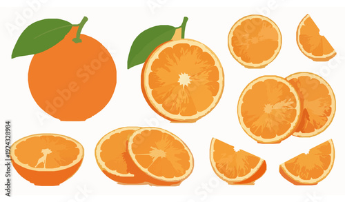 Whole Orange and Sliced Orange Vector Set with Fresh Citrus Variations Isolated on White Background