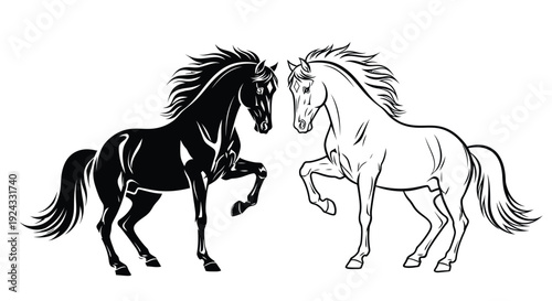 Two rearing horses, one black and one white outline.