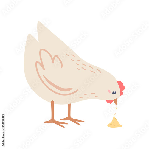 Tableau sur toile Flat illustration of a funny white chicken pecking grain