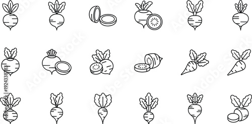 Vector illustration of radish and turnip icons set in thin line style for food design