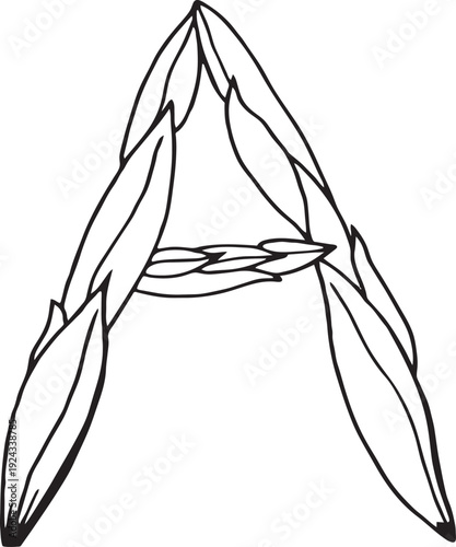 Doodle style letter A drawn with tea leaves. Hand drawn black line art, simple sketch, raw tea leaves arranged in shape of A, organic texture, white background