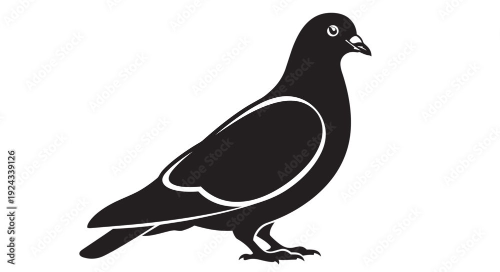 Obraz premium Black silhouette of a pigeon standing on ground