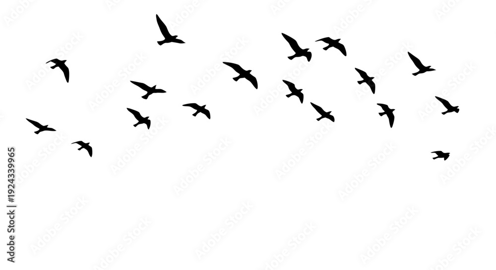 Fototapeta premium A simple text image with vector file written in it