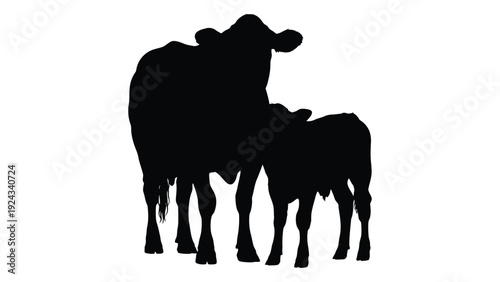 A silhouette depicts a cow and calf standing closely together in a field
