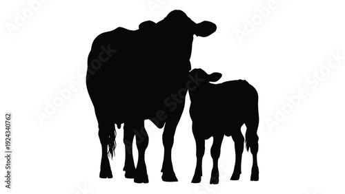 Silhouette of a cow and calf standing closely together against a white background