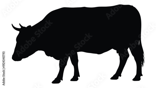 A stark silhouette of a bovine animal likely a bull or cow stands in profile