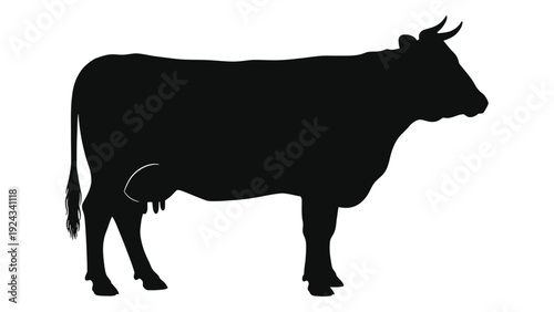 Silhouette of a cow against a white background showcasing its form and features