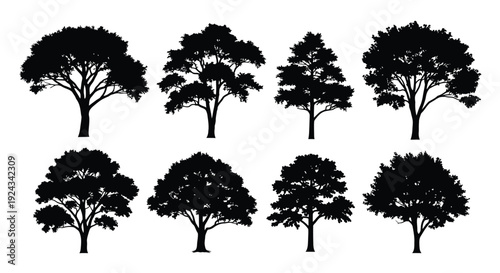 Eight distinct tree silhouettes display various deciduous trees.