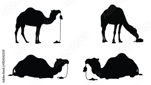 Four black silhouettes of camels in different poses against a white background