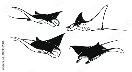 Manta rays display various swimming poses as ocean life.