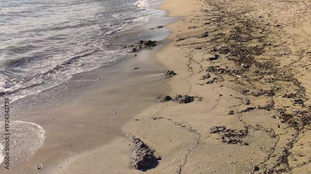 custom made wallpaper toronto digitalBeach with waste after the storm. 
View of the beach with marine debris washed ashore by the waves.