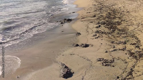 Wallpaper Mural Beach with waste after the storm. 
View of the beach with marine debris washed ashore by the waves. Torontodigital.ca