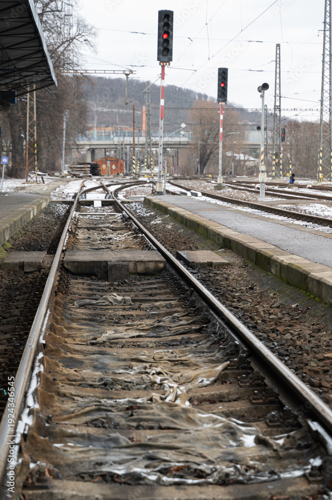 Fototapeta premium Vacant train terminal under gray overcast with peaceful tracks