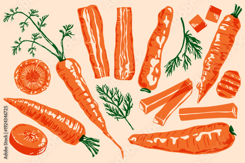 Orange carrots. Fresh organic vegetables with green leaves vintage risograph style farm food concept, abstract root plant with tops linocut print effect. Vector isolated carrot set