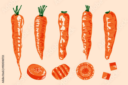 Orange carrot roots. Fresh organic vegetables vintage risograph style farm food concept, abstract root plant with tops linocut print effect. Vector isolated carrot set