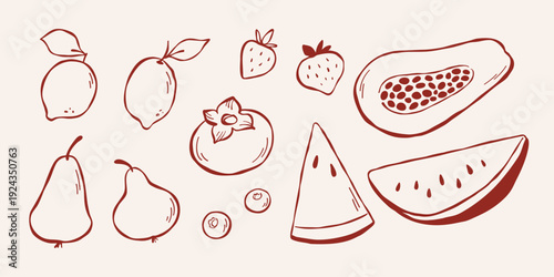 Vector line illustration of lemons, pears, strawberries, persimmon, blueberries, watermelon and papaya. Collection of different fruits, sketch clip art for coloring book, logo design, or print. 