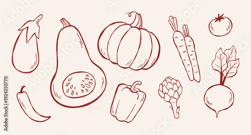 Vector line illustration of eggplant, pumpkins, chili pepper, bell pepper, carrots, tomato, artichoke, beetroot. Collection of different vegetables, sketch clip art for coloring book, logo design. 