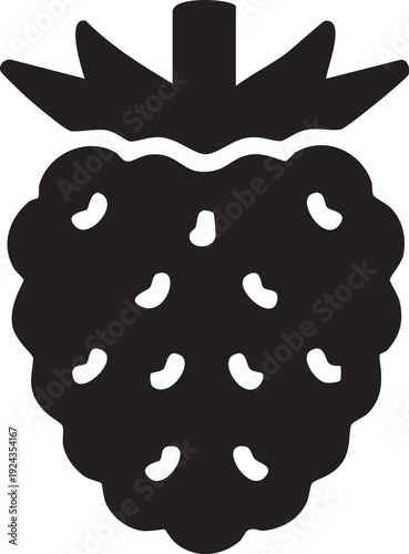 Black Silhouette Icon of a Single Raspberry with Segmented Texture