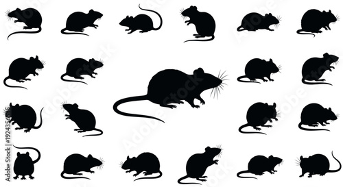 Black silhouette illustrations of rodents against a white background for various concepts