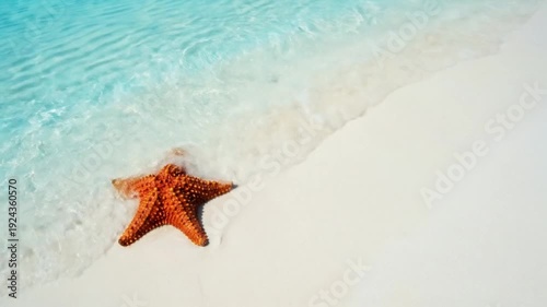 Orange starfish lies on smooth snow-white sand near clear turquoise water. Slow movement of water near starfish. Light breeze. Sunny weather