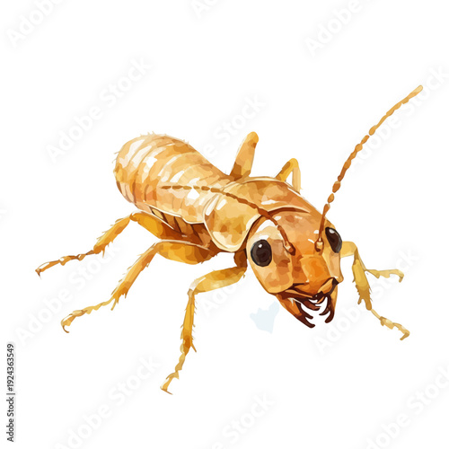 Termite, watercolor vector, isolated on a white background.